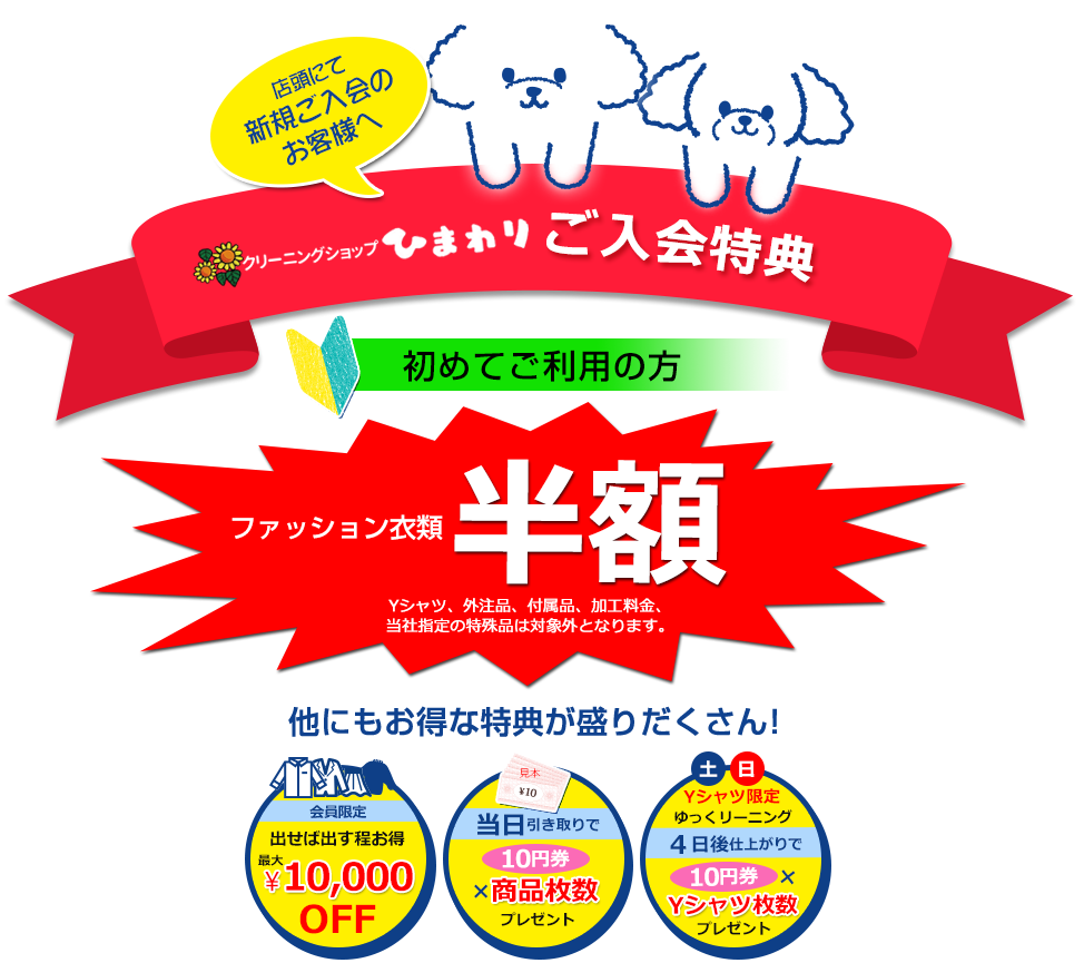 ひまわり ご入会特典 お得な特典が盛りだくさん!