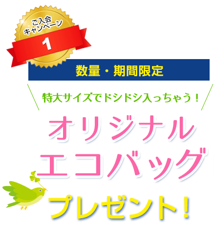 <数量・期間限定>特大サイズでドシドシ入っちゃう!オリジナル エコバッグ プレゼント!